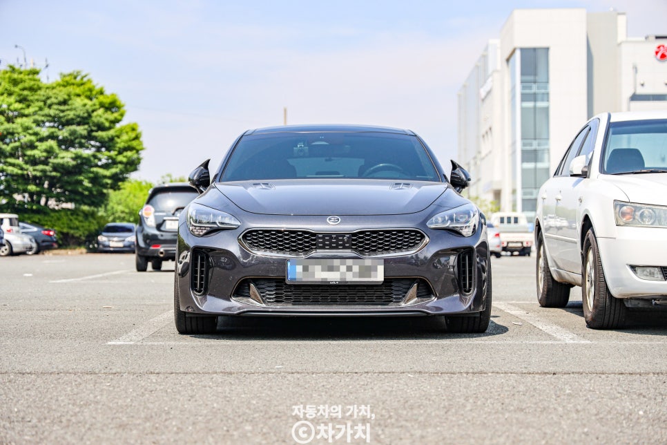 기아의 GT 카 스팅어는 단종되었지만 중고차에서는 전성기?(ft. 2.0T 3.3T 제로백)