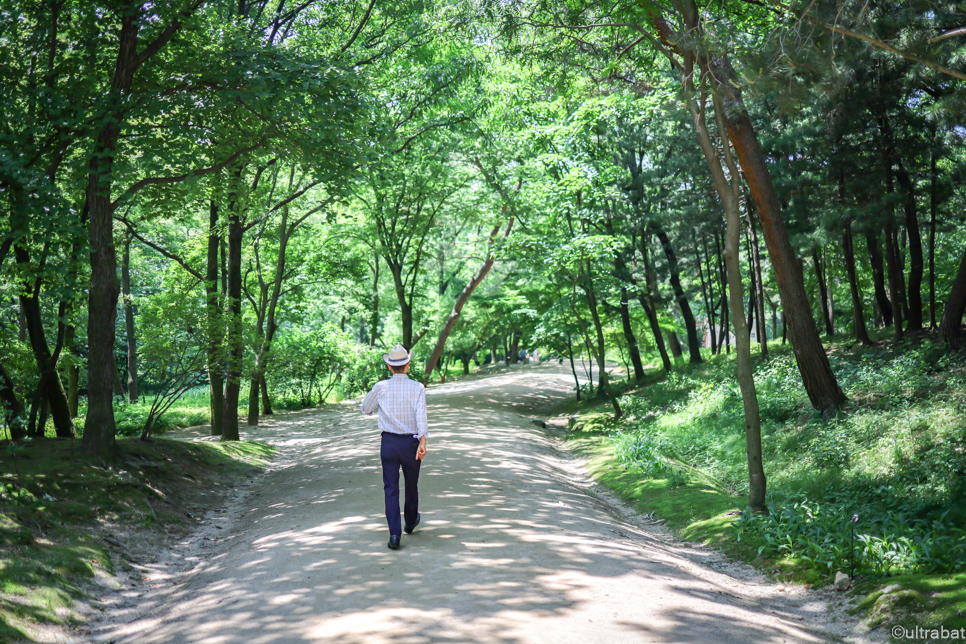 김포 가볼만한곳 봄 나들이 핫플 데이트 드라이브 코스 김포 장릉