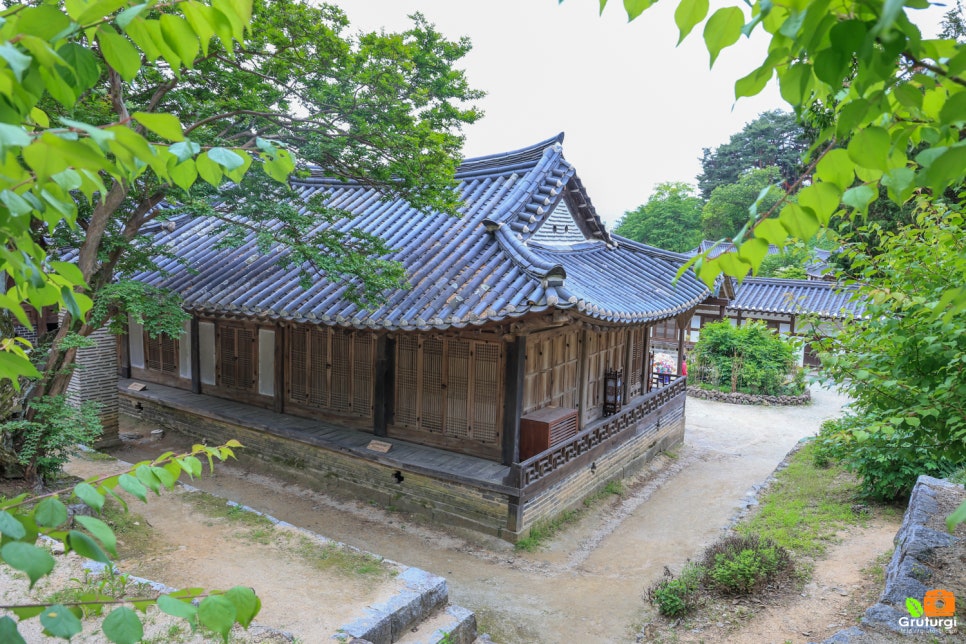 강릉 선교장 관광지 데이트 코스 강릉 뚜벅이 여행