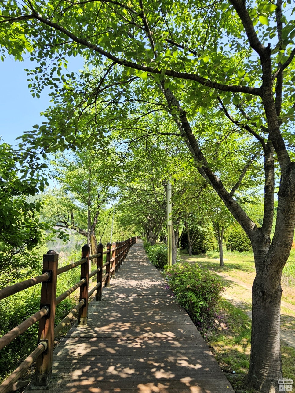 대전 싱그러운 봄날의 대청호를 즐기는 방법_금강로하스대청공원과 대청댐 전망대