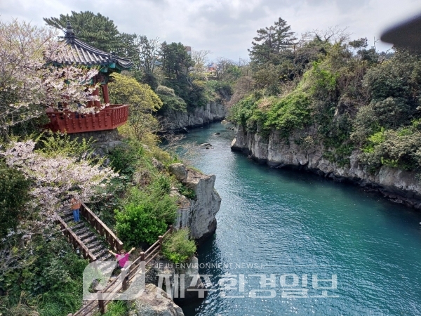 제주자연유산돌봄센터, 새로운 이름으로 자연유산 돌봄 나선다
