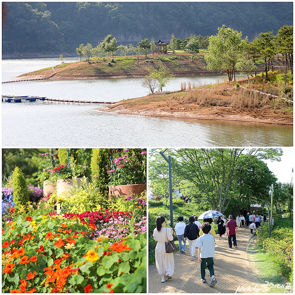 전북 임실 가볼만한곳 임실 옥정호 출렁다리 붕어섬 요산공원