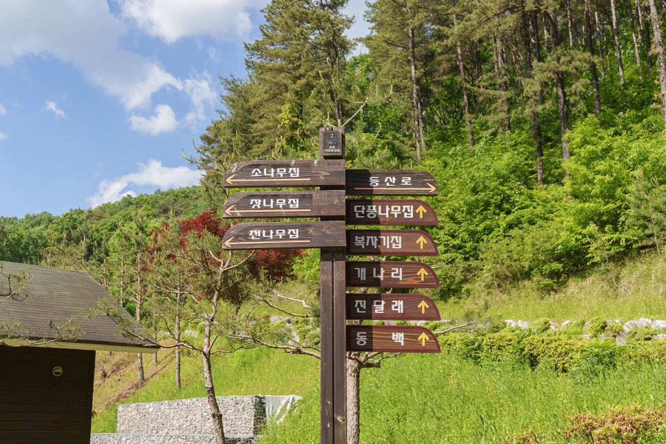 논산 여행 숙소 양촌자연휴양림 논산 펜션