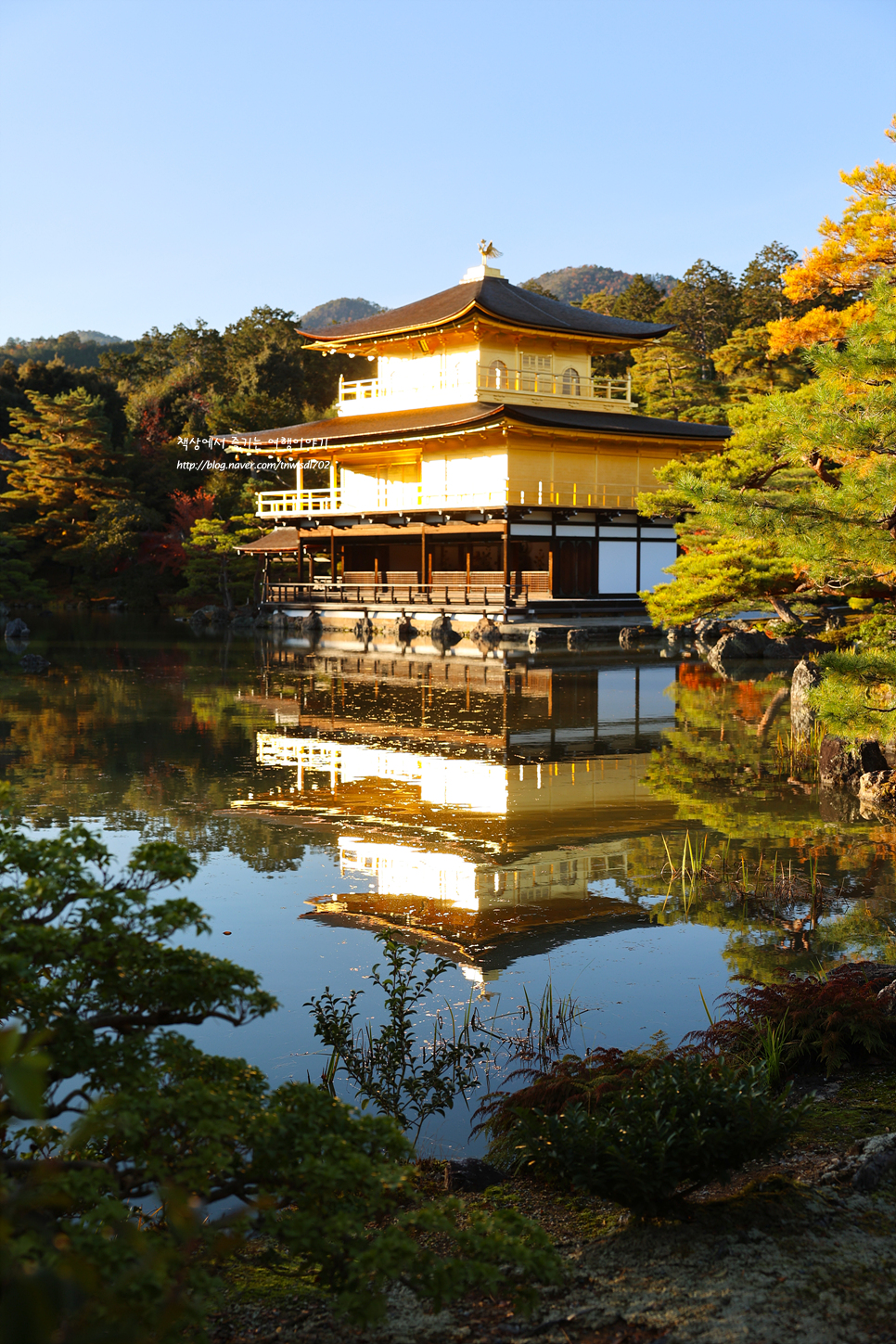 일본 관광지 금각사 교토 여행 가볼만한곳