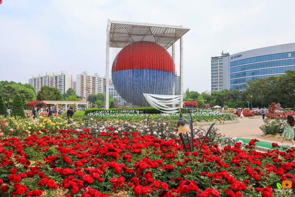 서울 올림픽공원 장미축제 장미광장 들꽃마루 서울 공원 추천