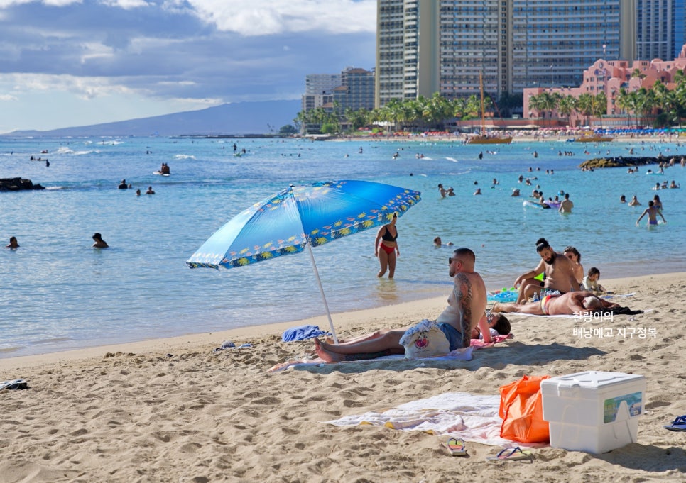 하와이 입국 이스타 비자 유심 국제 운전면허증 여행 준비물