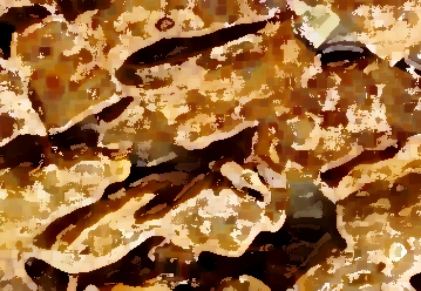 생방송투데이 연탄돼지갈비 고깃집 위치 46년 전통의 맛 한우물의법칙