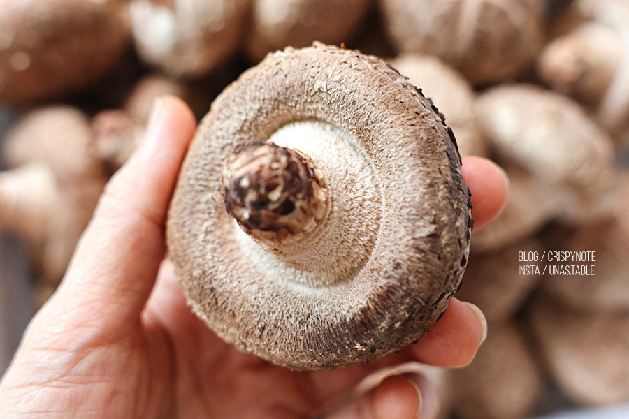 맛있게 요리하는 표고버섯 반찬 표고버섯볶음 만드는법