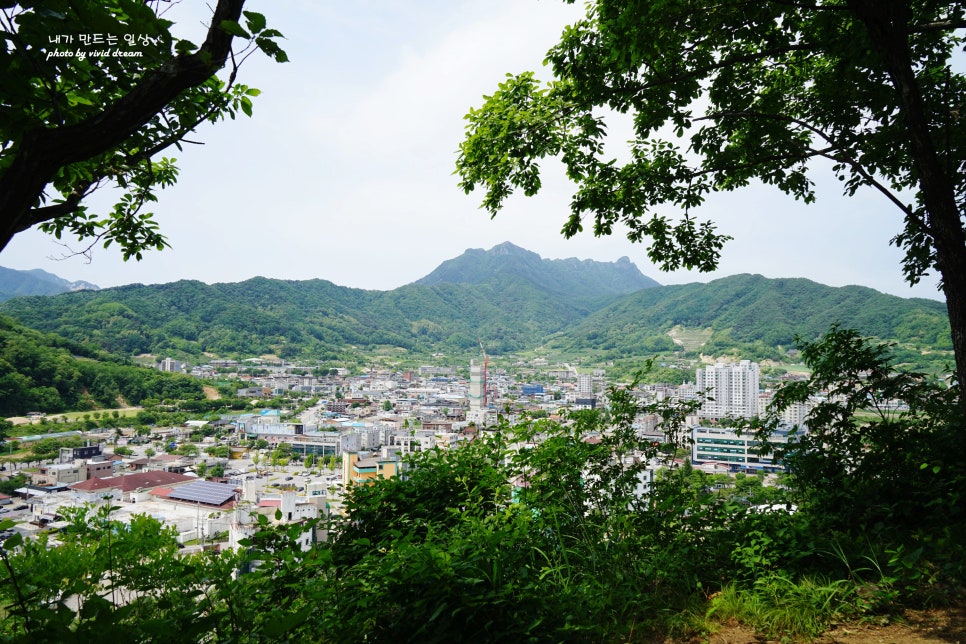 경북 축제 문경 가볼만한곳 점촌점빵길 토요장 핫플 드라이브코스 문경사격장