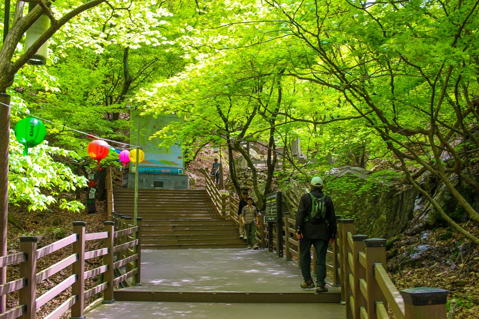 동두천 가볼만한곳 소요산 등산코스 경기도 산행 명소