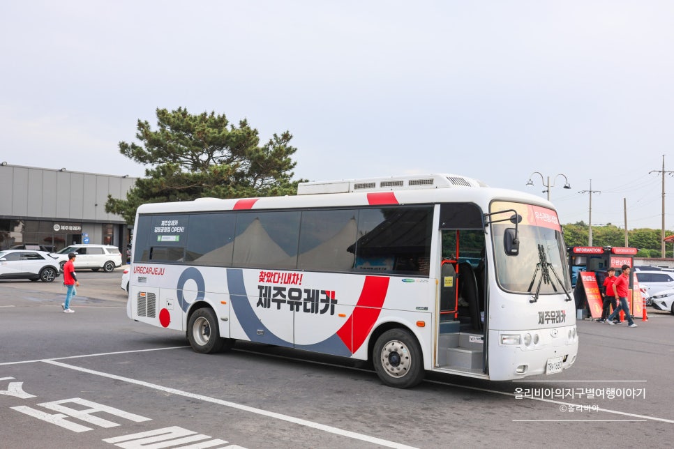 제주 렌트카 보험 자차 제주속으로 제주도 렌트카 추천 예약 후기