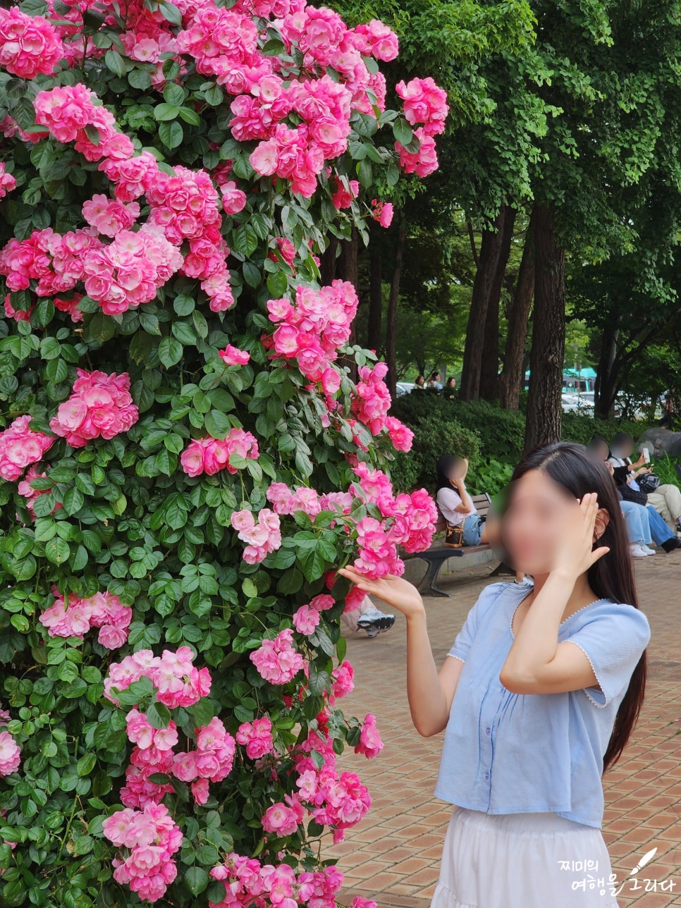 서울 올림픽공원 장미축제 장미광장 6월 꽃구경 가볼만한곳 꽃축제