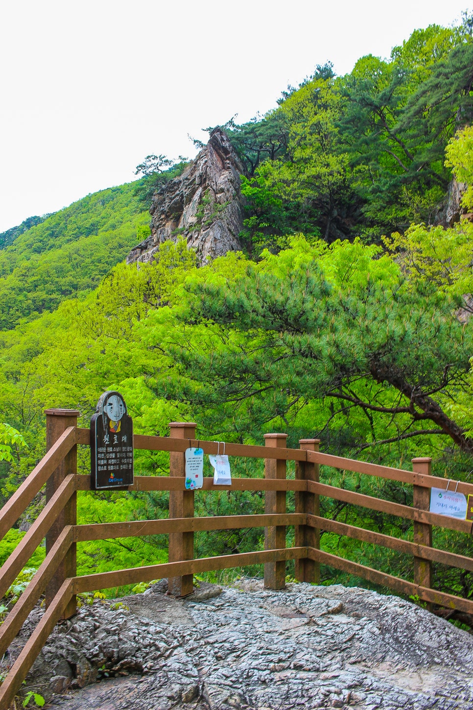 동두천 가볼만한곳 소요산 등산코스 경기도 산행 명소