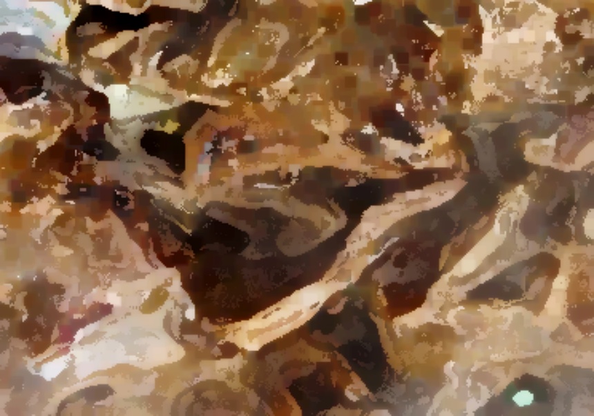 생방송투데이 연탄돼지갈비 고깃집 위치 46년 전통의 맛 한우물의법칙