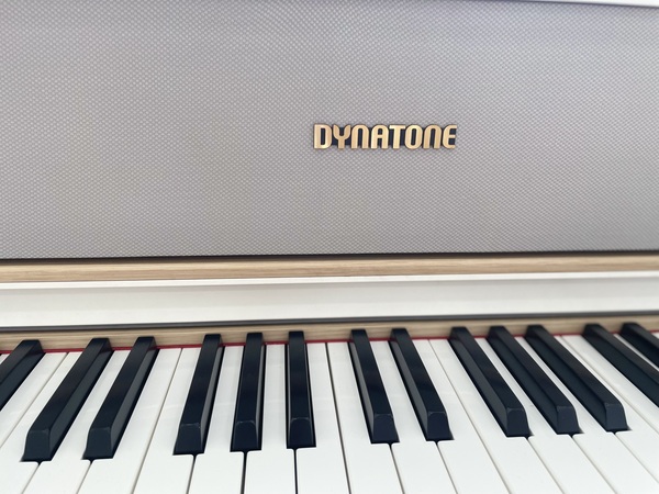 전자피아노 추천 사운드 성능 좋은 다이나톤 DPR5160 디지털피아노 추천