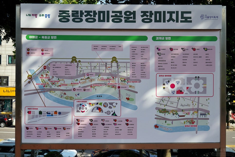 서울 장미축제 끝났지만 장미향 가득한 중랑장미공원