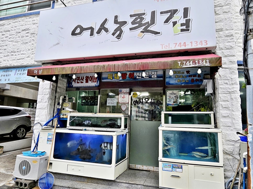 제주도 관광버스 전세버스 기사포함 차량 대절 임대 feat 제주도 워크샵 여행!