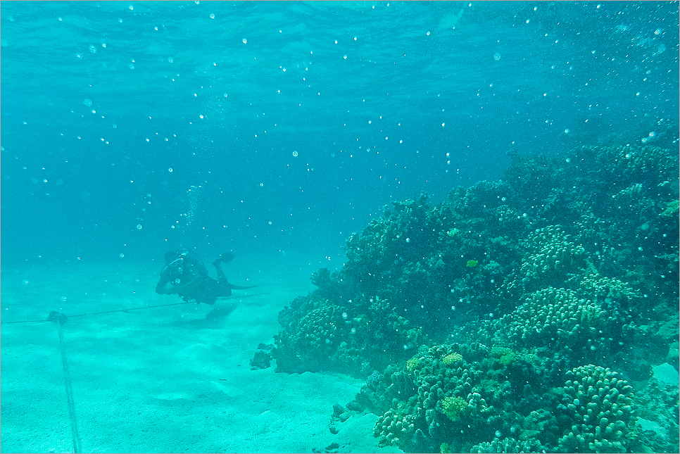 사이판 투어 추천, 다이빙 마나가하섬 정글투어 ATV 비용 준비물