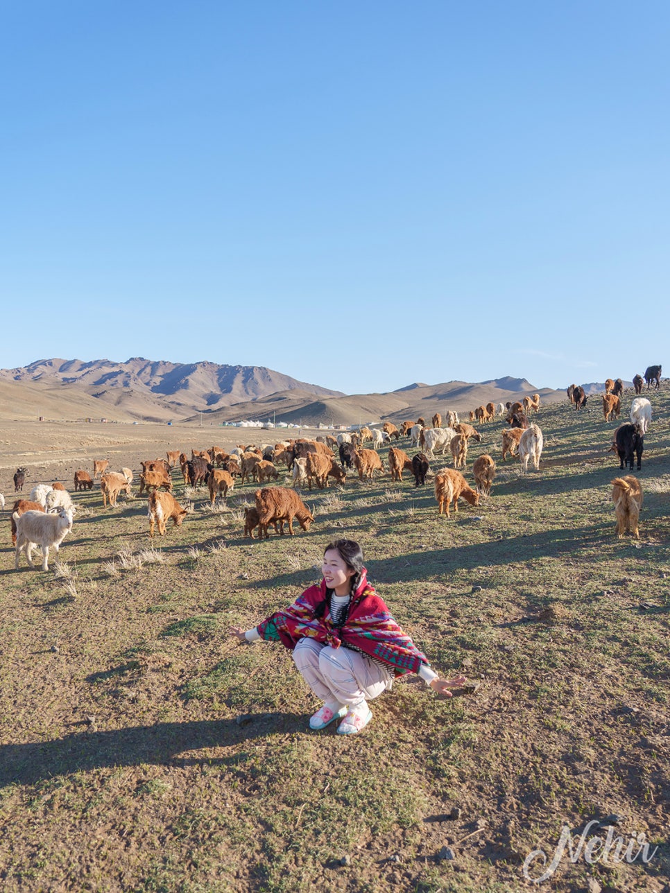 몽골 여행 경비 음식 욜링암 투어 몽골 은하수
