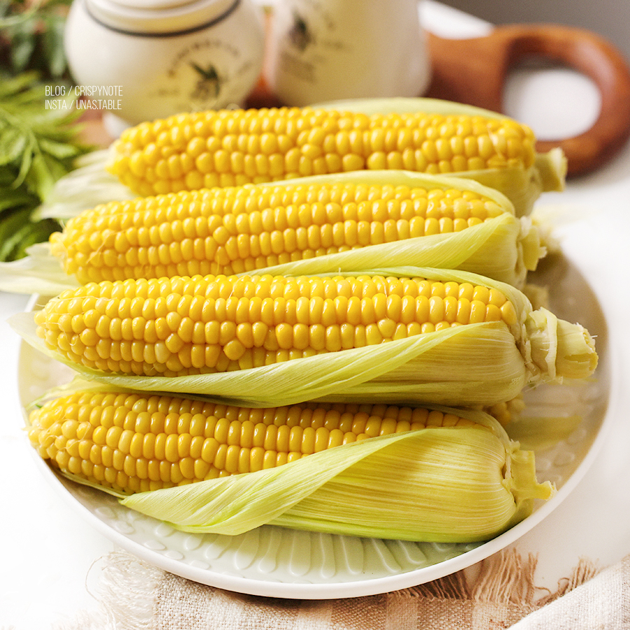 박수가 나오는 제철 시골청년 초당옥수수 찌는 법