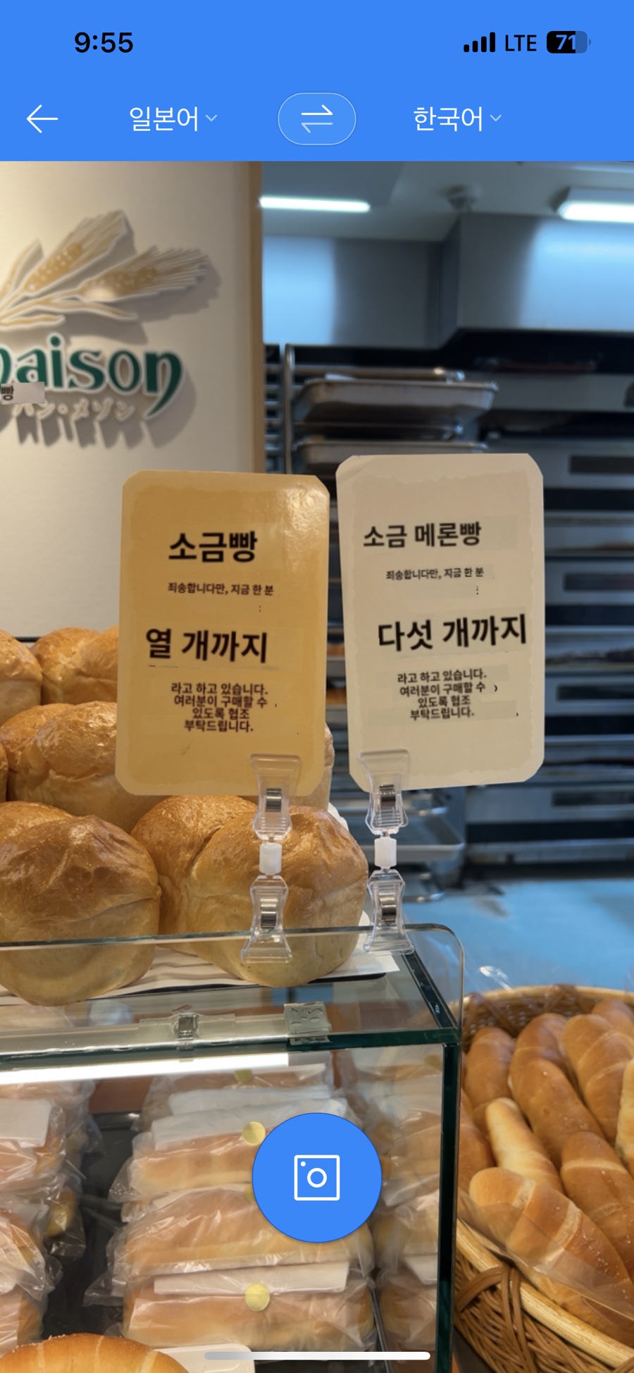 도쿄 소금빵 맛집 긴자 팡메종 오픈런 후기..(예약 링크, 메뉴, 웨이팅, 빵지순례)