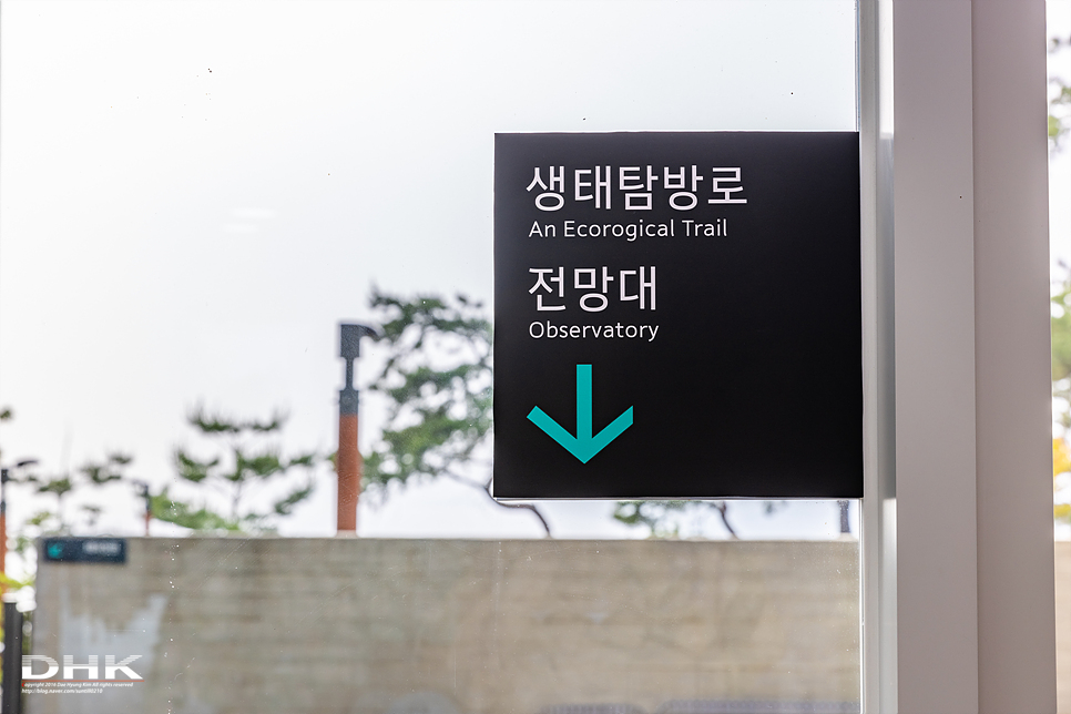 김포가볼만한곳 애기봉평화생태공원 서울근교 당일치기 주말 나들이코스
