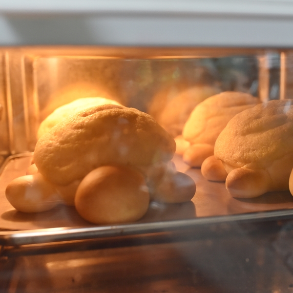 귀여움 한도초과 거북이빵 만들기 모카번 쿠키반죽 홈베이킹 레시피