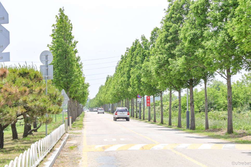 안산 대부도 갈만한곳 당일치기 드라이브 코스 대부도 여행