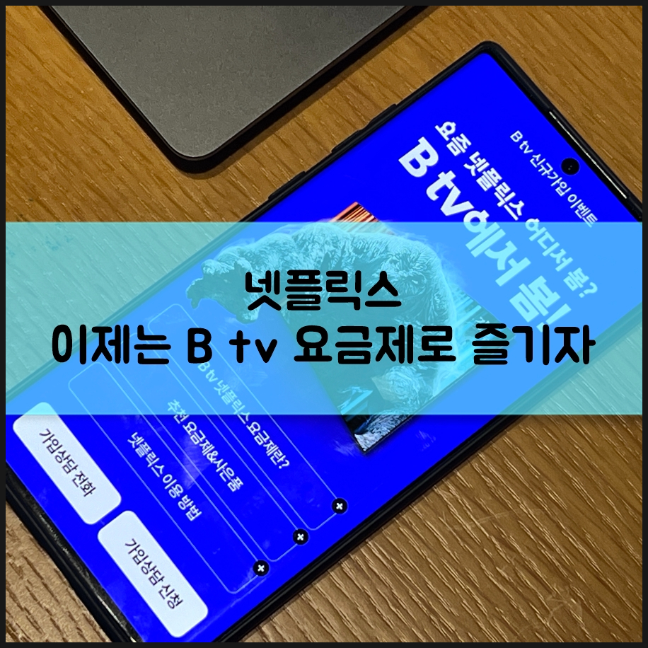 넷플릭스 이제는 SK브로드밴드 B tv 요금제로 즐기자