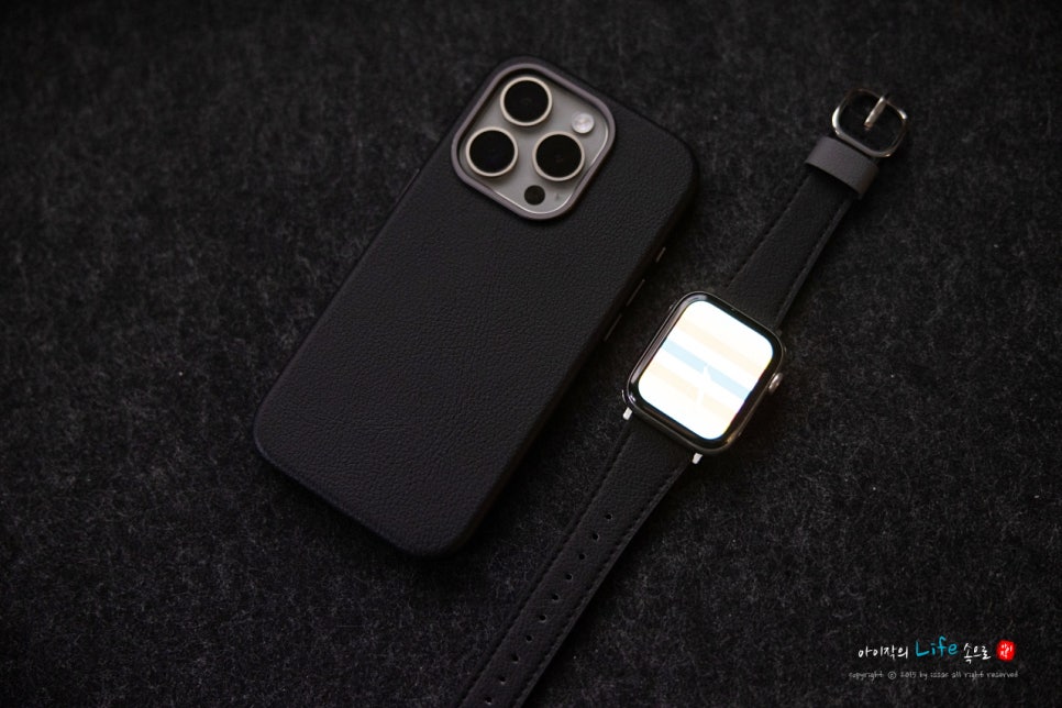 시메트리 캑터스 레더 아이폰15 프로 맥세이프 케이스 애플워치 스트랩 오터박스