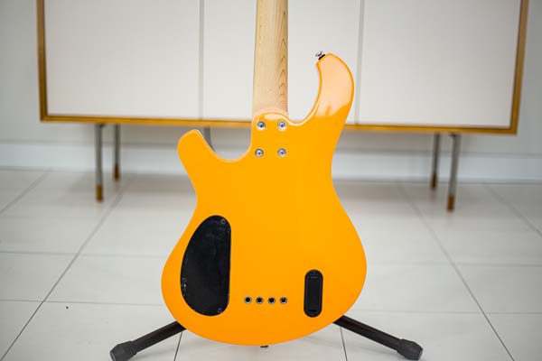 베이스기타 추천 악기! 명성이 자자한 데임 폴앤폴250 입문용 베이스 기타