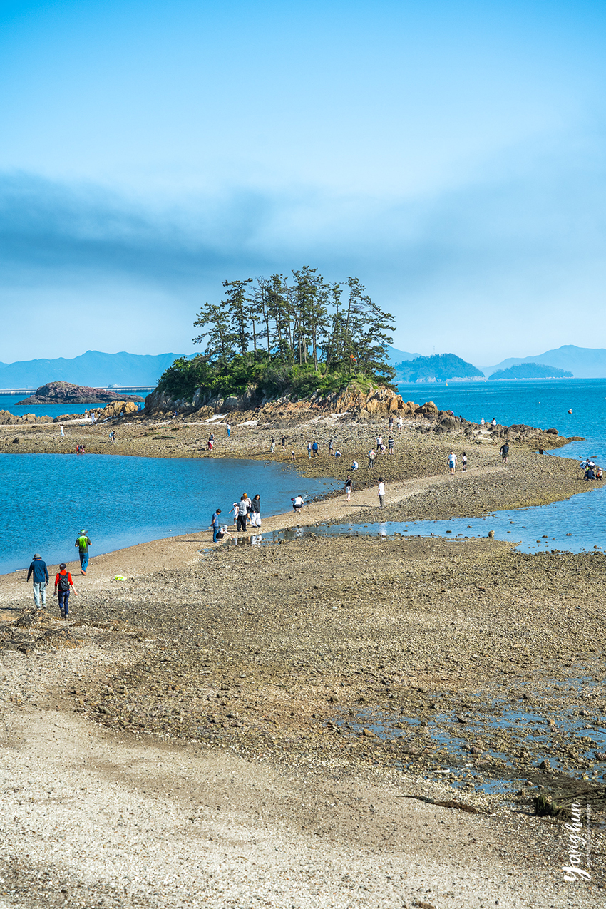 전북 군산 가볼만한곳 선유도 포함 군산 여행 코스