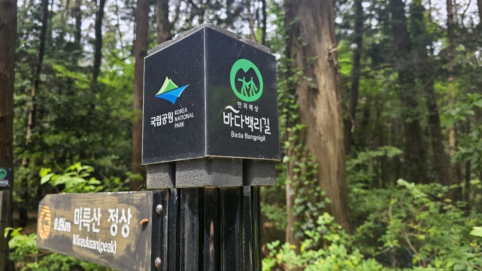 [한려해상국립공원] 바다백리길 1구간 미륵도 달아길 미래사 편백나무숲