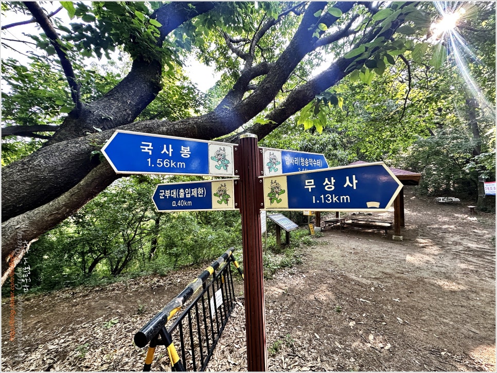 논산, 향적산 등산코스 /산림청 244산