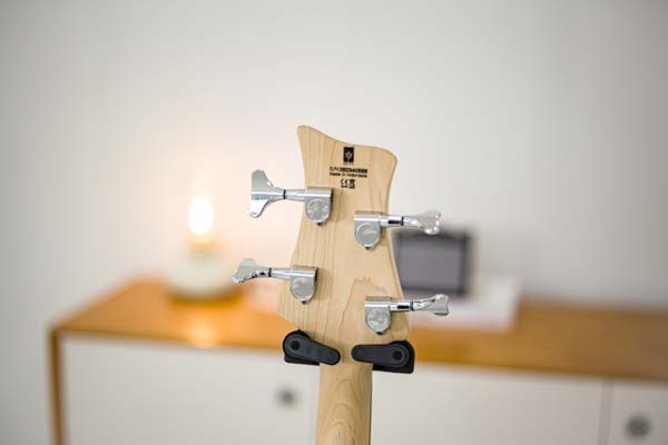 베이스기타 추천 악기! 명성이 자자한 데임 폴앤폴250 입문용 베이스 기타