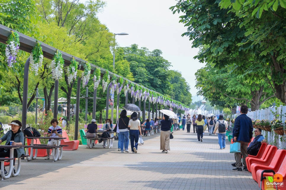 서울 뚝섬 한강공원 추천 놀거리 2024 서울 국제 정원박람회