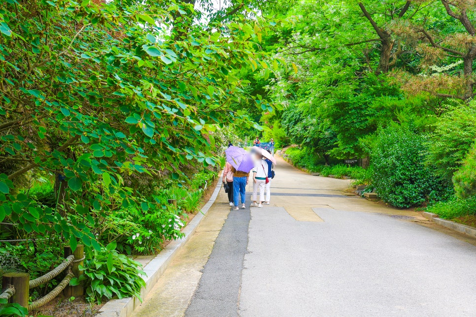 전주 가볼만한곳 전주수목원 장미 만개 6월 꽃구경 좋은곳