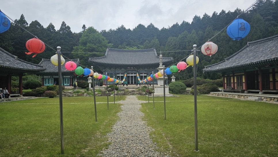 [한려해상국립공원] 바다백리길 1구간 미륵도 달아길 미래사 편백나무숲