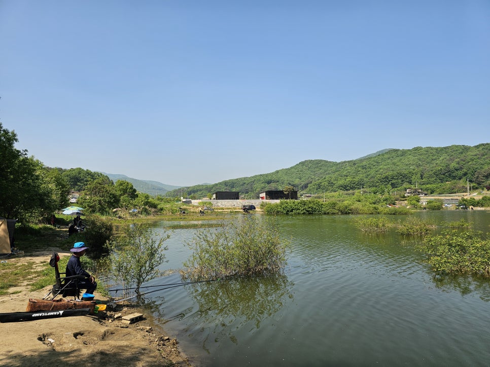 천안 민물 배스 낚시터 용연저수지 제발 좀 쓰레기는 가져가시오.