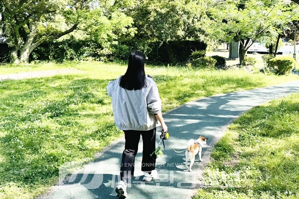“타인에게는 맹견이 될 수 있다”..제주시, 성숙한 반려동물 펫티켓 홍보