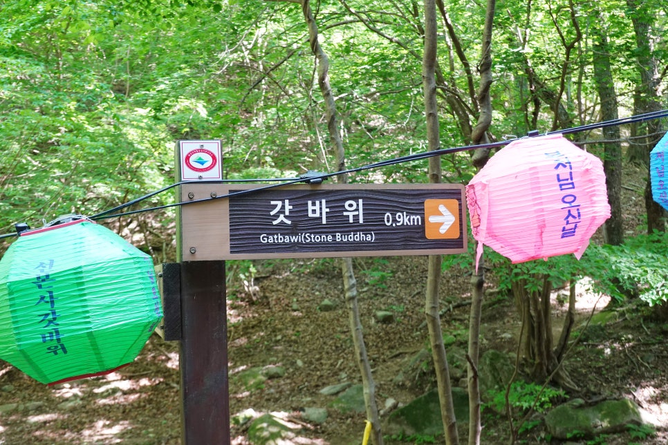 [팔공산국립공원] 선본사 갓바위 최단 코스 관음휴게소(경산방향)