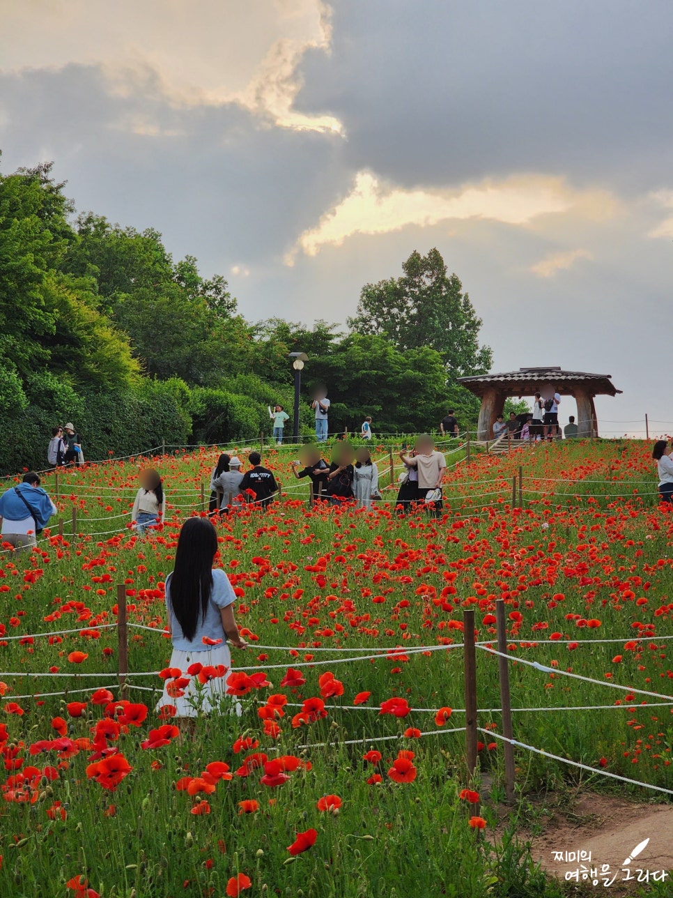서울 올림픽공원 들꽃마루 유채꽃 명소 송파 놀거리 가볼만한곳 유채꽃밭