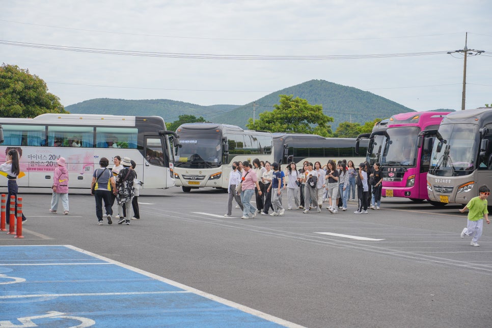 제주 동쪽 가볼만한곳 체험 제주 관광지 6월 제주도 가족여행 코스