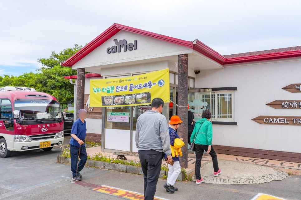 제주 동쪽 가볼만한곳 체험 제주 관광지 6월 제주도 가족여행 코스