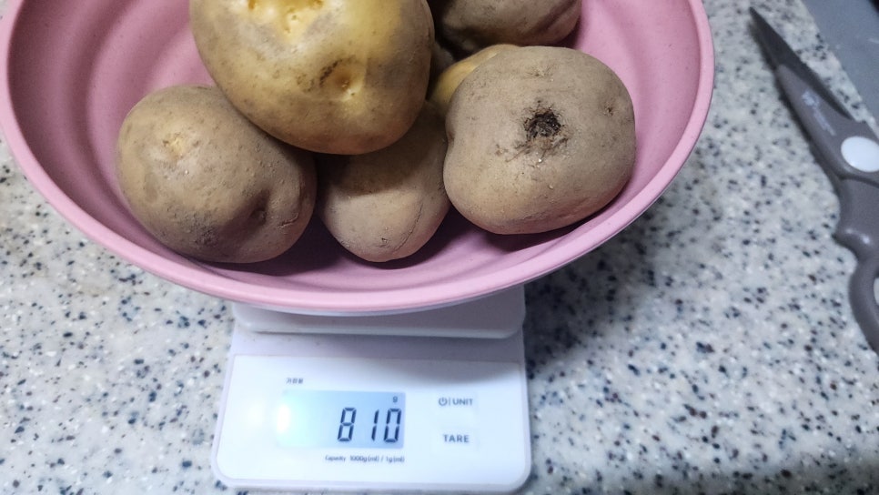 포슬포슬 감자삶는방법 감자 분나게 삶기 건강간식 감자삶는법 감자삶는시간