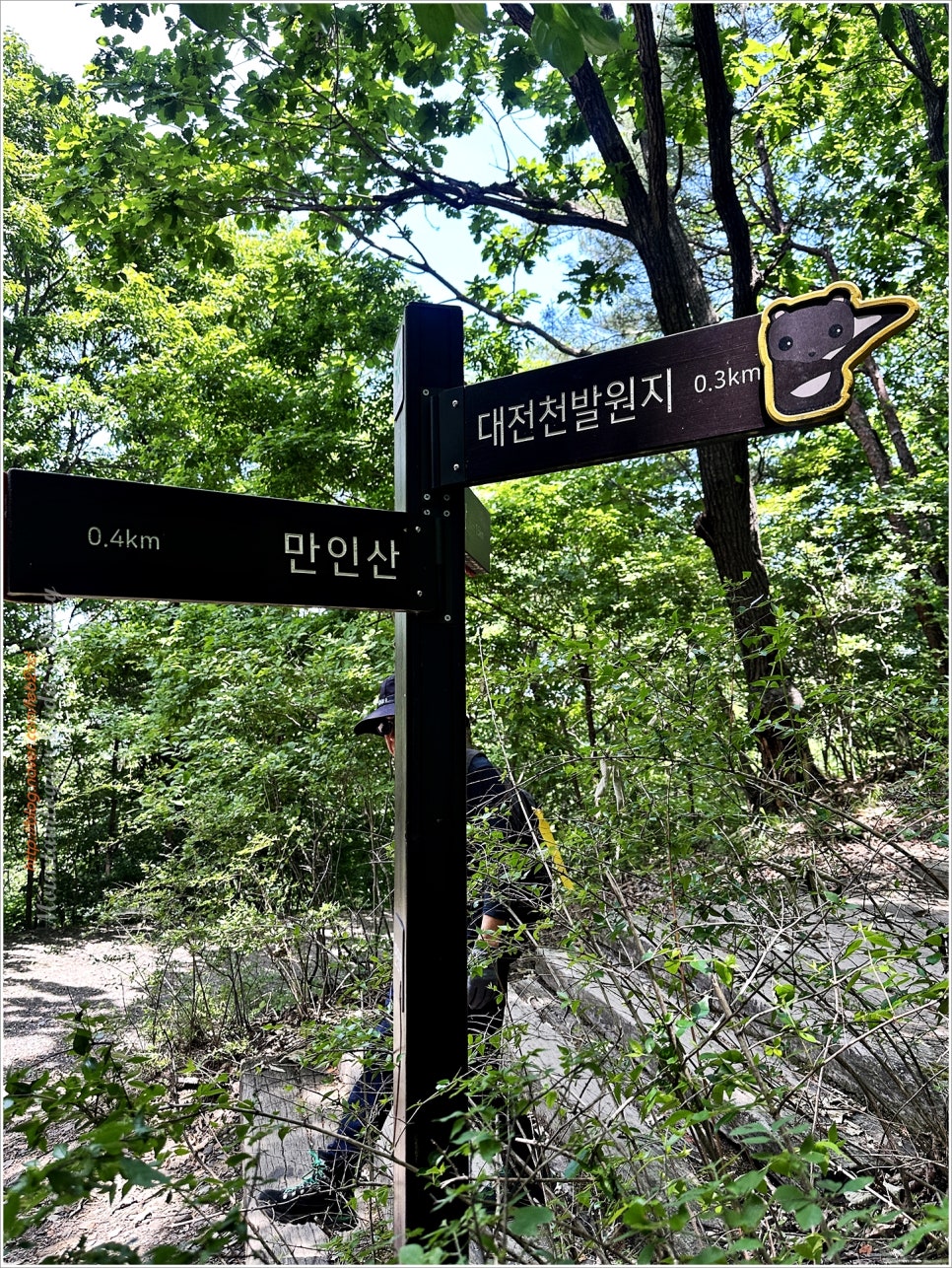 대전/금산, 만인산 등산코스 / (ft.봉이호떡)