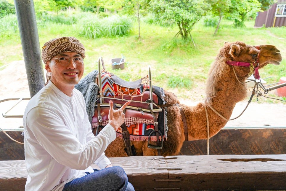 제주 동쪽 가볼만한곳 체험 제주 관광지 6월 제주도 가족여행 코스