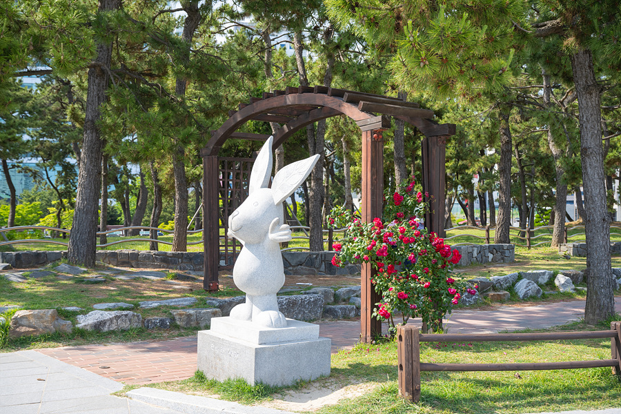 부산 수국 개화시기 해운대송림공원 부산 모래축제 해운대 해수욕장