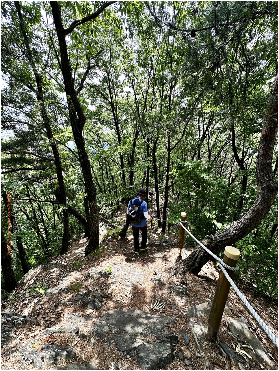 대전/금산, 만인산 등산코스 / (ft.봉이호떡)