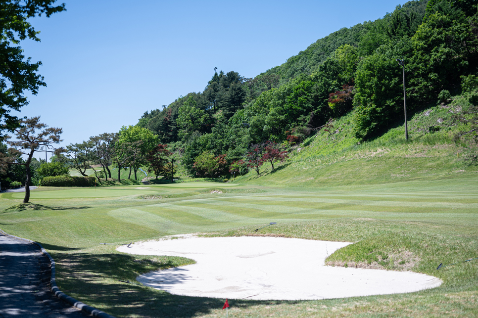 로제비앙cc (구 큐로cc) 라운드 후기, 가까운 수도권 골프장!